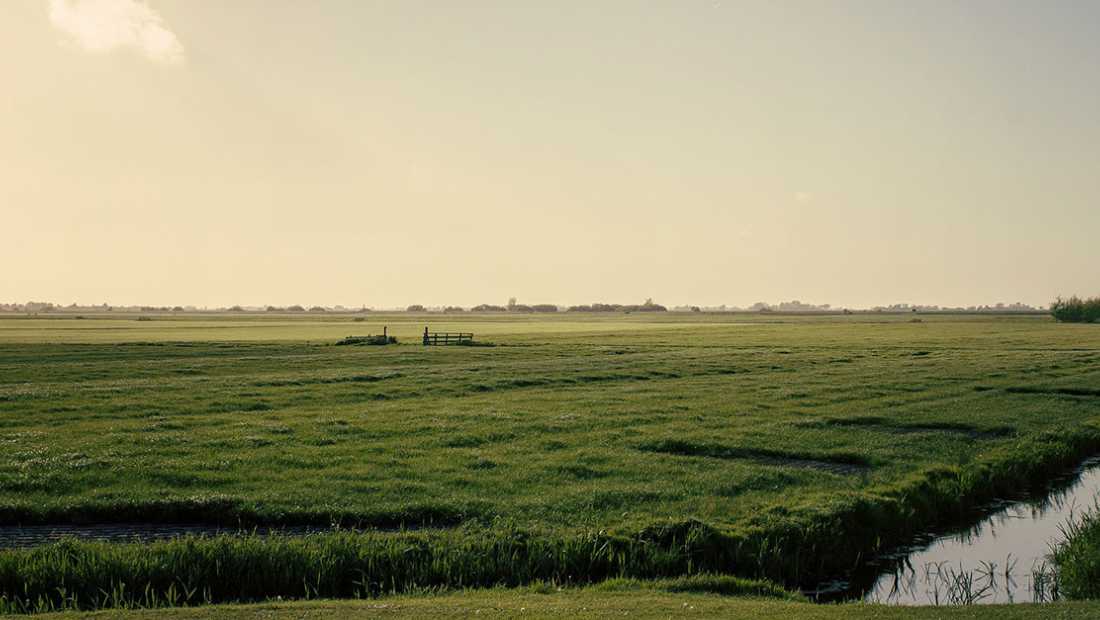 ABD Rally - Friese landschap